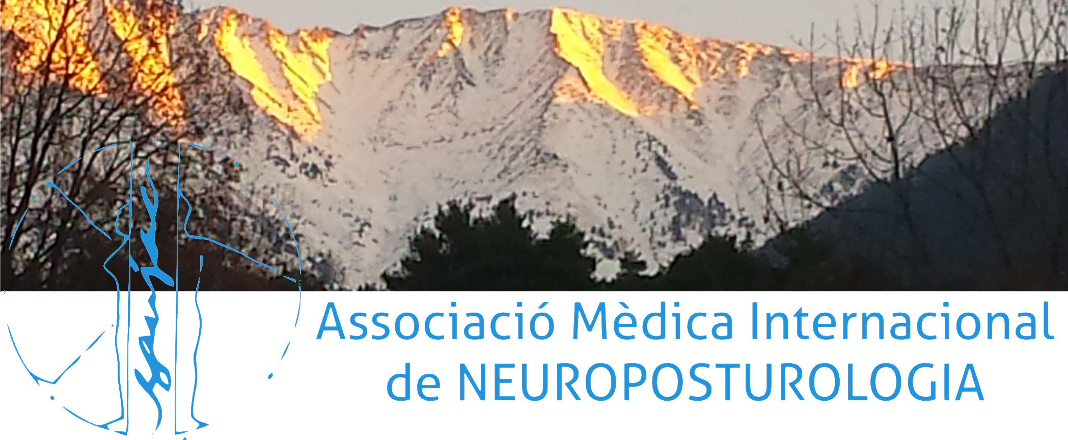 Associacion Medica Internacional de Neuroposturologia